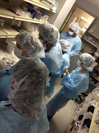 Staff in medical lab